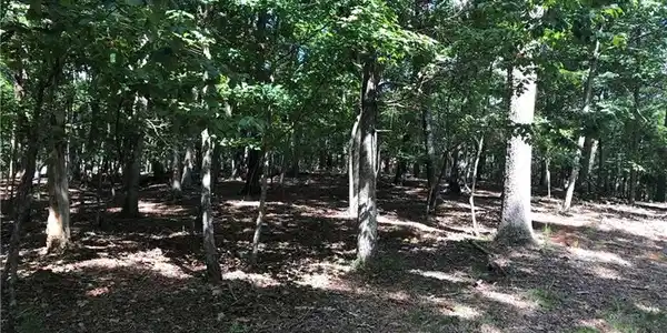 00 Denny Ridge Road