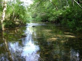 Lot 313 Hwy 382