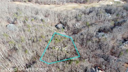 Lot 940 Mulligan Way