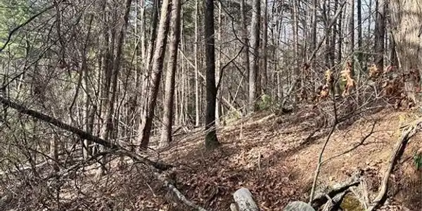 Lot 1811 Log Swamp Drive