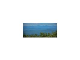312 Wildcat Road Lot 2131