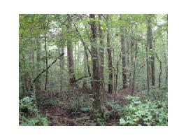 4204 Gibson Street NW Lot 126