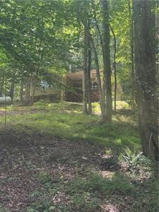 195 Chestatee Drive