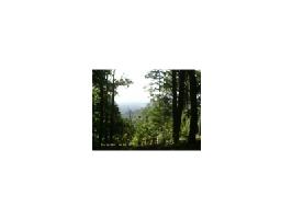 189 Stirratt Lot 189