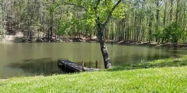 568 Bent Tree Drive