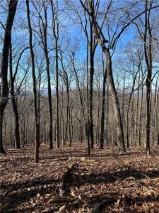 Lot671 Valley View Trail