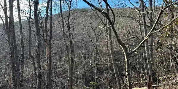 Lt1141 Oglethorpe Mountain Road
