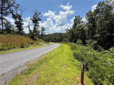 79 River Overlook Lane S