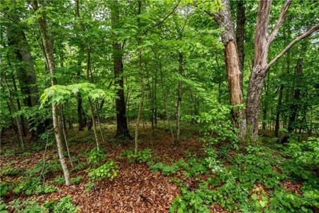 3843 Skyline Drive