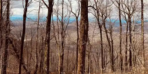 280 Big Stump Mountain Trail