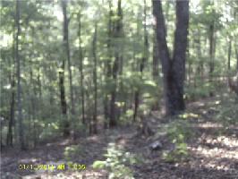 1674 Hunter Lot 1674