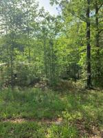 35 Dogwood Lane