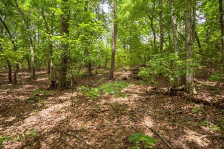 285 Bear Creek Drive