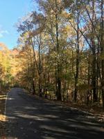 4464 Denny Ridge Road