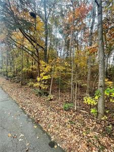 Lot 100 Lake Club Drive