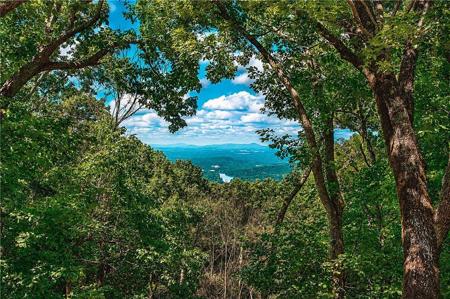 300 Sassafras Mountain Trail