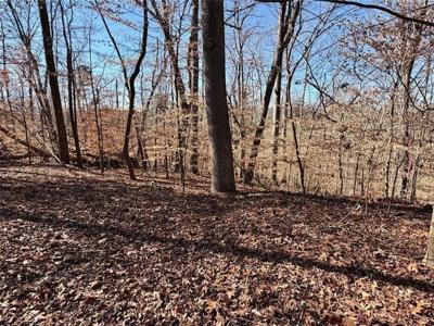 Lot C26E3 Arrowhead Court