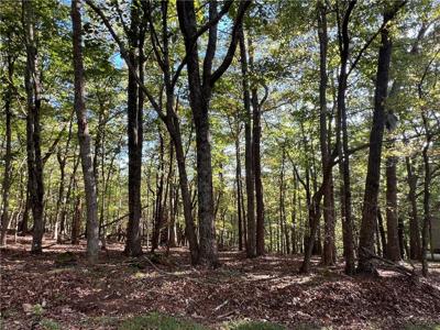 402 South View Trail