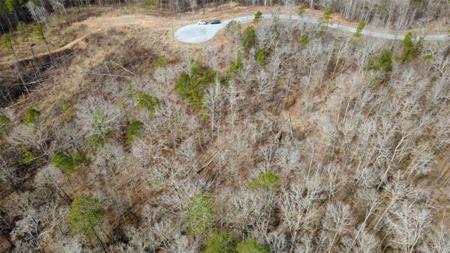 Lot 43 Bucktail Way