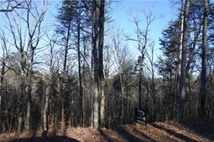 1.15ac Sharp Top Ridge