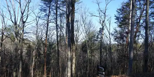 1.15ac Sharp Top Ridge
