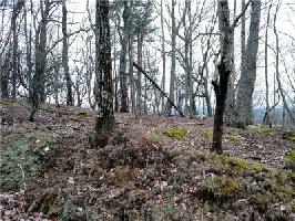 2613 Stone Ridge Court Lot 2613