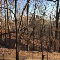 1317 Coachwhip Trail