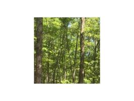 229 Tranquility at Carter's Lake Lot 229