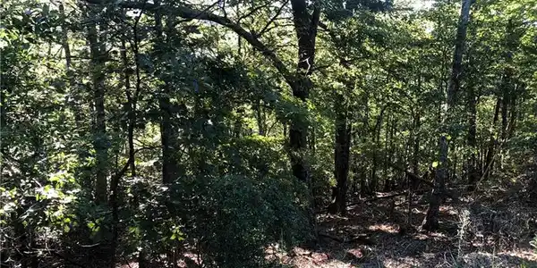 Lot 297 Little Hendricks Mountain Road