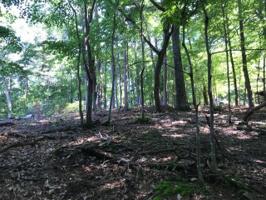 Lot 285 Lt 747 Tee Court