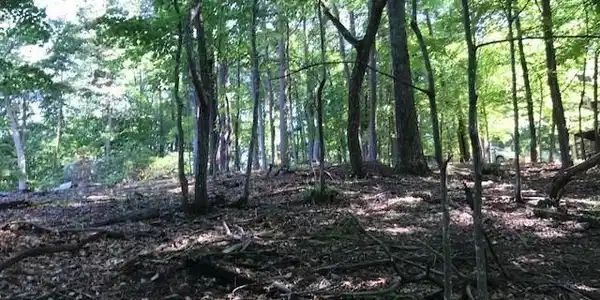 Lot 285 Lt 747 Tee Court