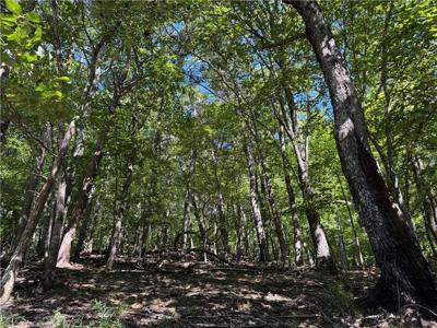 Lot 1653 Moss Patch Trail