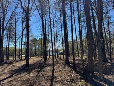 Lot 11 County Rd 131