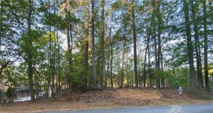 246 Hillside Drive