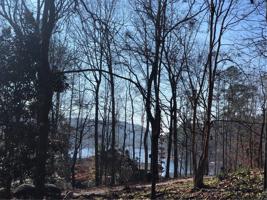 125 N Cypress Court