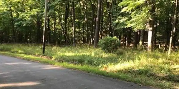 Lot 46 Buckeye Trail