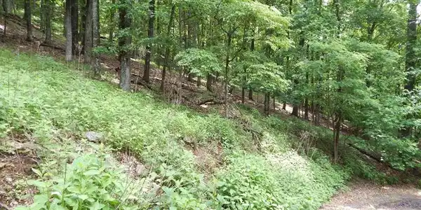 654 Valley View Trail
