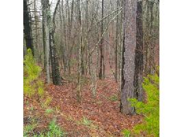 843 Foi Drive Lot 843