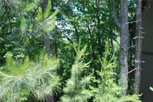 850 Sinti Trail
