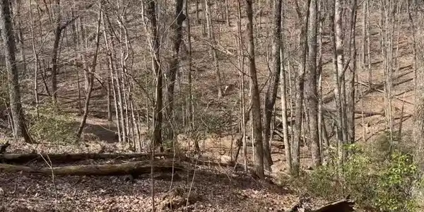 Lot 7041 Valley View Drive
