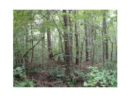 0 Galts Road Lot 37