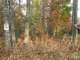 1365 Fox Hound Trail Lot 1365