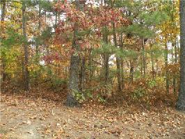 278 Adair Lot 278