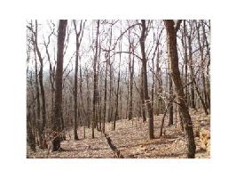 8240 Cox Mountain Drive Lot 8240
