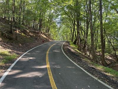 LT1321 Coachwhip Trail