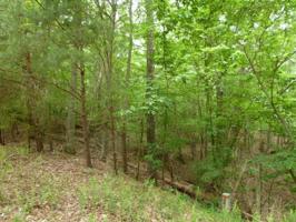 Lot 168/169 Emerald Springs Lane NE
