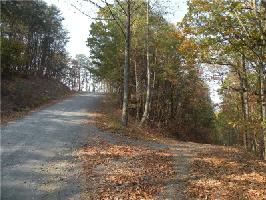 1067 Mayfield Lot 1067