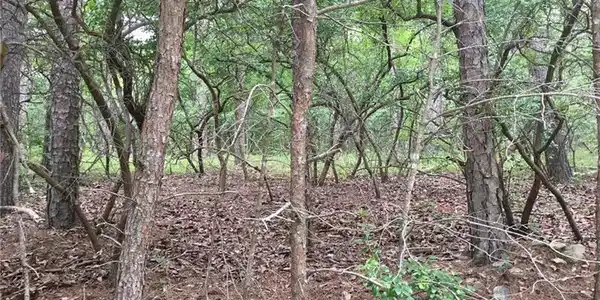 Lot533 Quail Way