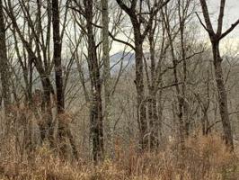 Lot 268 Doll Mountain Road