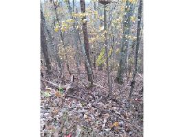 26 Carters Overlook Lot 26